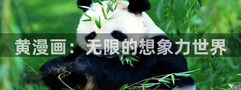 喵趣漫画官方入口在哪里：黄漫画：无限的想象力世界