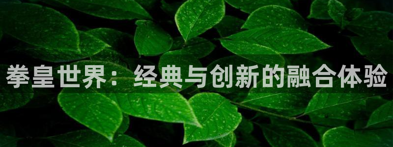 喵趣漫画免费官网下载：拳皇世界：经典与创新的融合体验